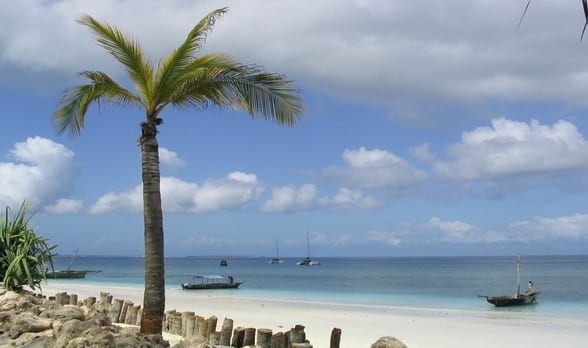 Daily Travel Photo: Zanzibar Island, Africa