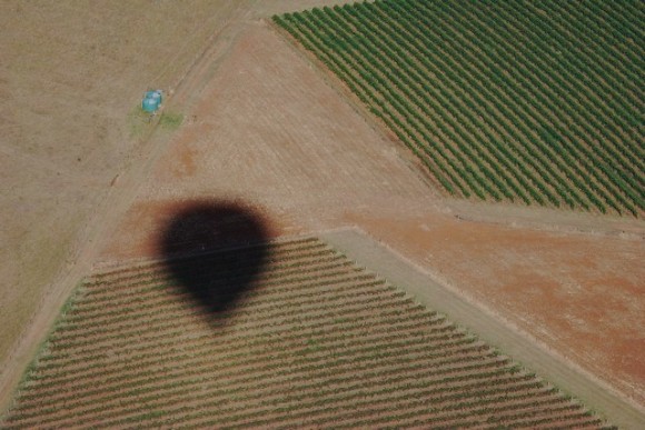 reflection of balloon on farmland