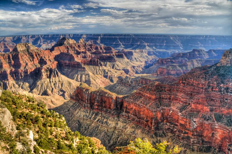 view of the Grand Canyon north rim