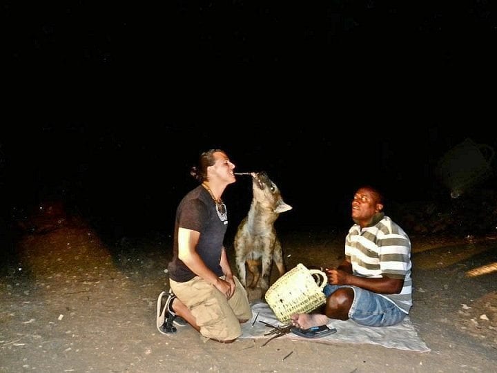 people playing with a hyena