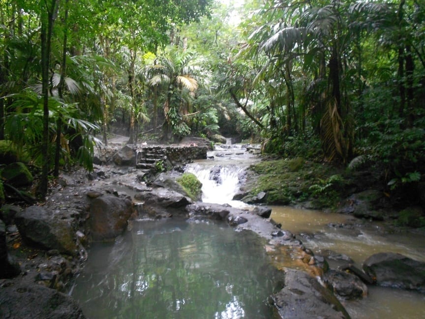 hot springs in a forest