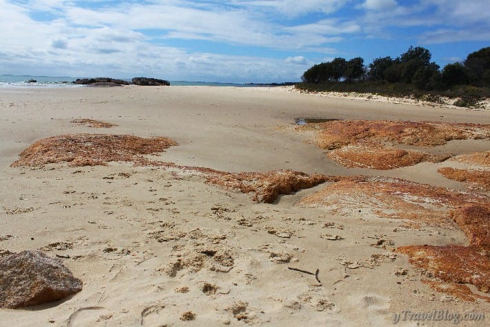 sandy beach with red rocks