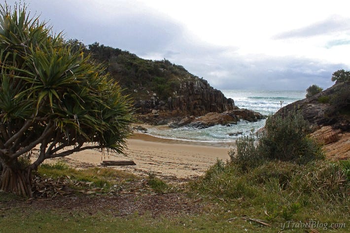small sandy beach cove in Hat Head National Park