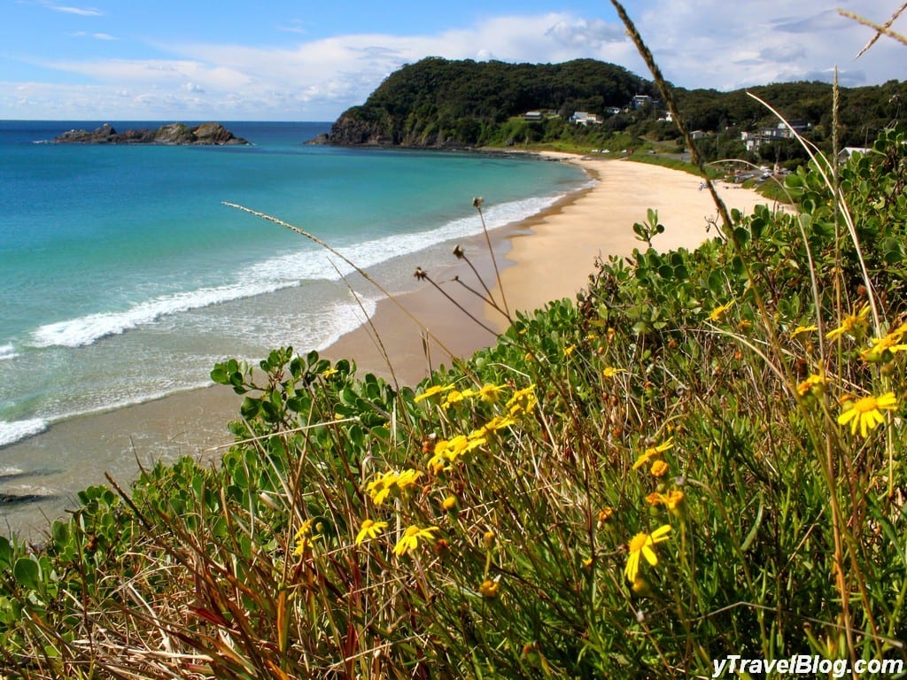 a beach with wildflowers on the hill in the foreground