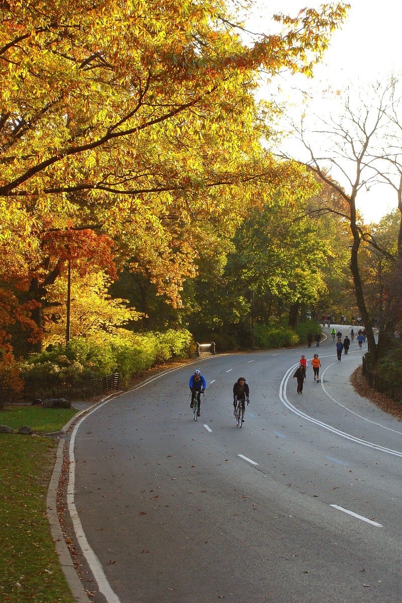 Biking around Central Park - one of the best things to do in New York City
