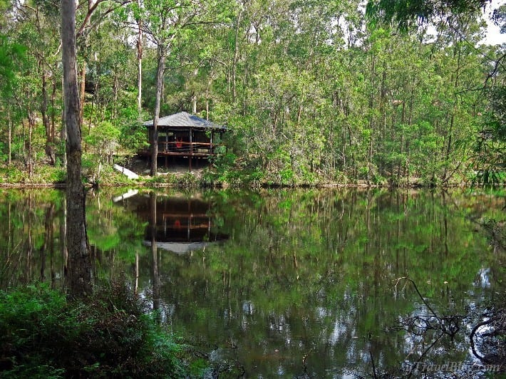 yoga pavilion on lake surrounded by trees 