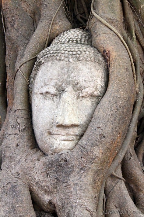 buddha head in banyan tree ayutthaya
