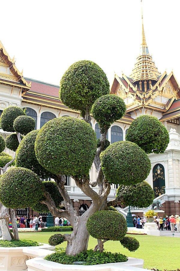sculpted tree at the grand palace