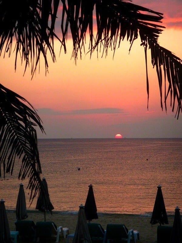 A sunset over a beach next to a palm tree