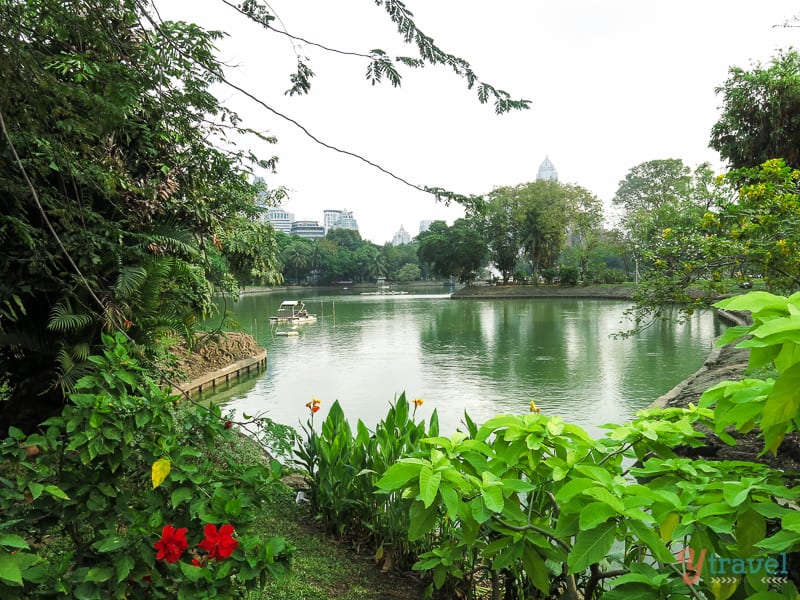 lush green plants surrounding lake at lumpini park