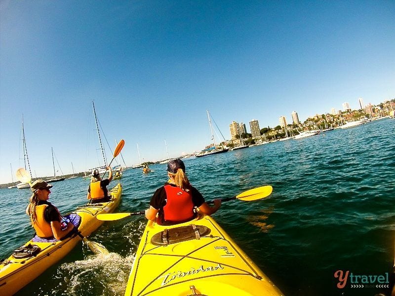 people kayaking in sydney habour
