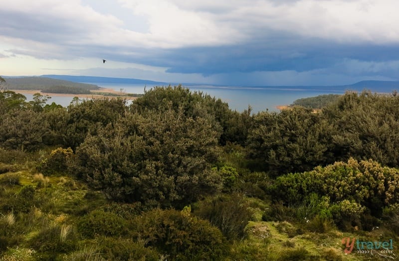 Great Lake Central Plateau Conservation area Tasmania (1)