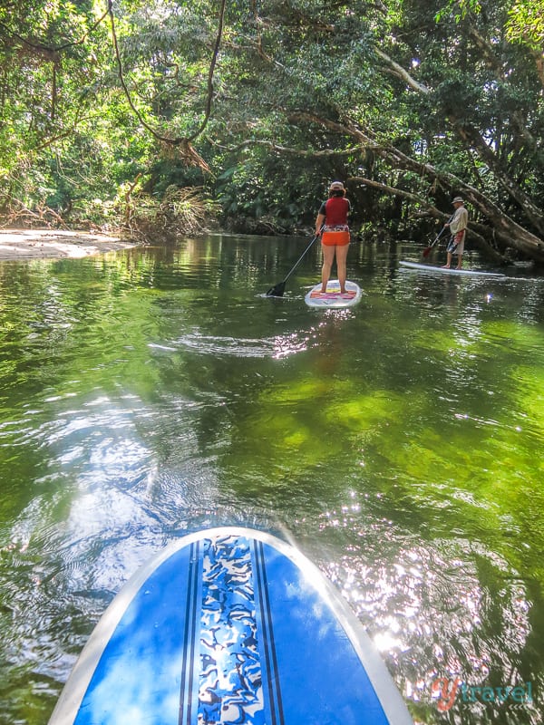 people stand up paddle boarding