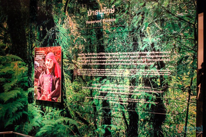 photo on wall of smiling person in forest