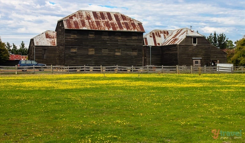 farm house next to field with yellow wildflowers