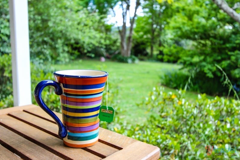 rainbow coffee cup on table with forest view