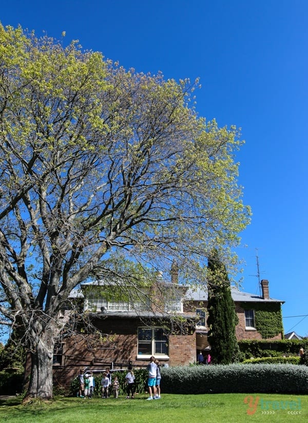 A tree in front of a house