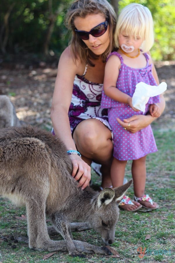 woman and girl petting kangaroo Symbio Wildlife park