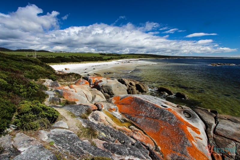 red rocks on the beach at Bay of Fires, Tasmania, Australia
