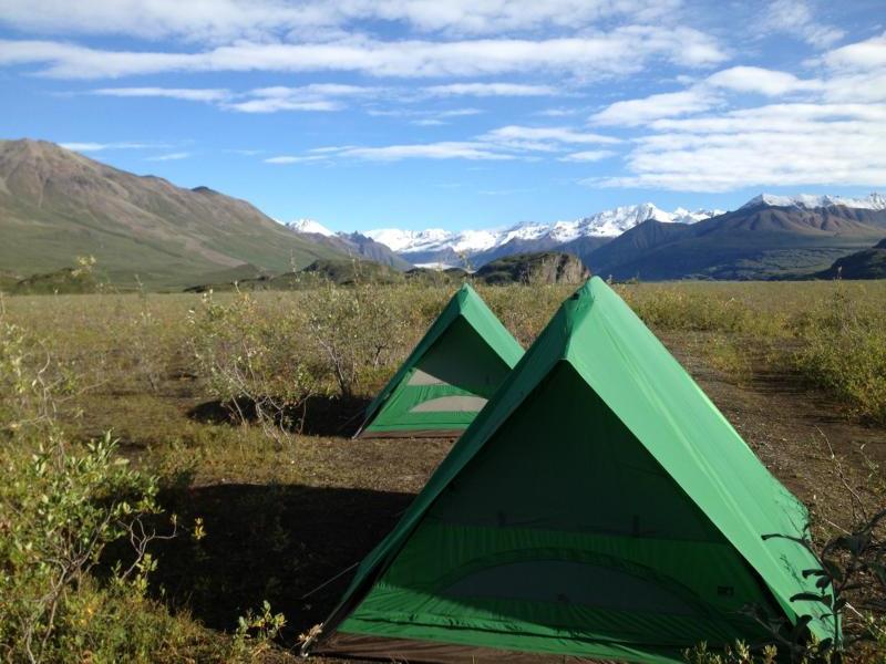 green tents in a field in Alaska