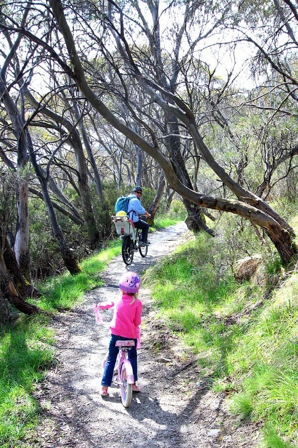 family riding bikes connected  trail