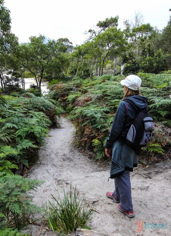 person walking along sandy trail with ferns on either side