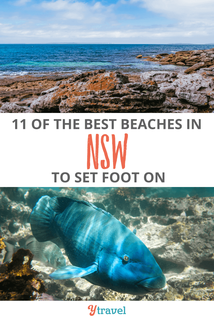 11 Best Beaches on the South Coast of NSW, Australia