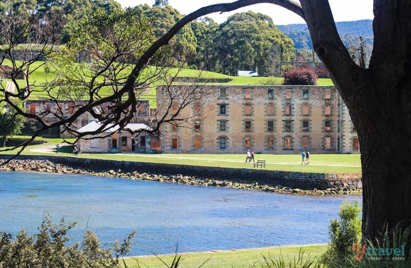 a tree over a lake with port Arthur historic buildings in the background