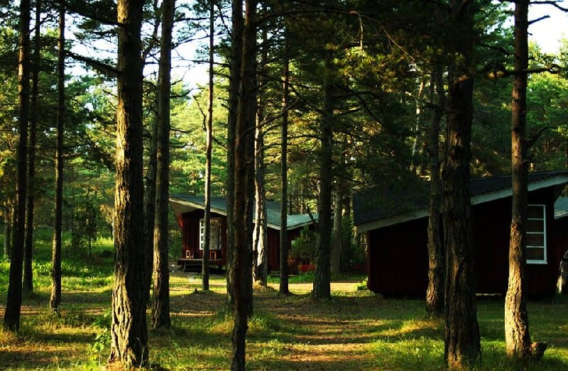 cabins in a forest on Saarema Island Estonia
