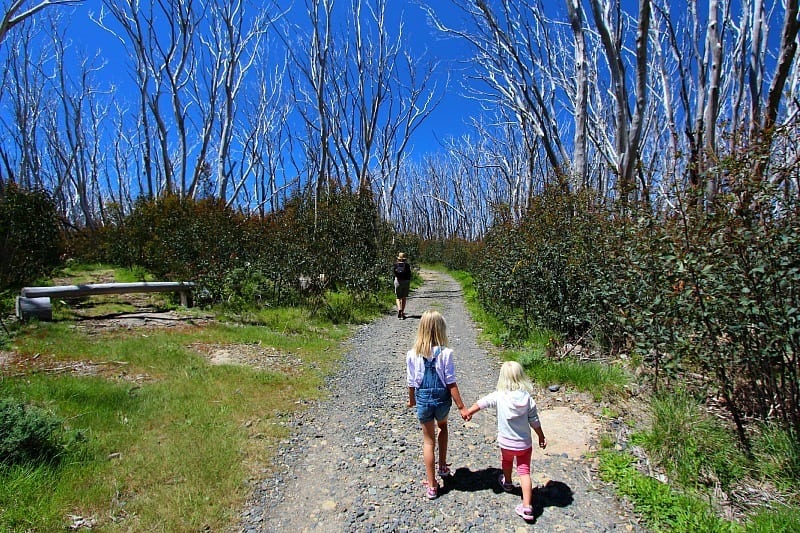 girls holding hands walking on a rocky path