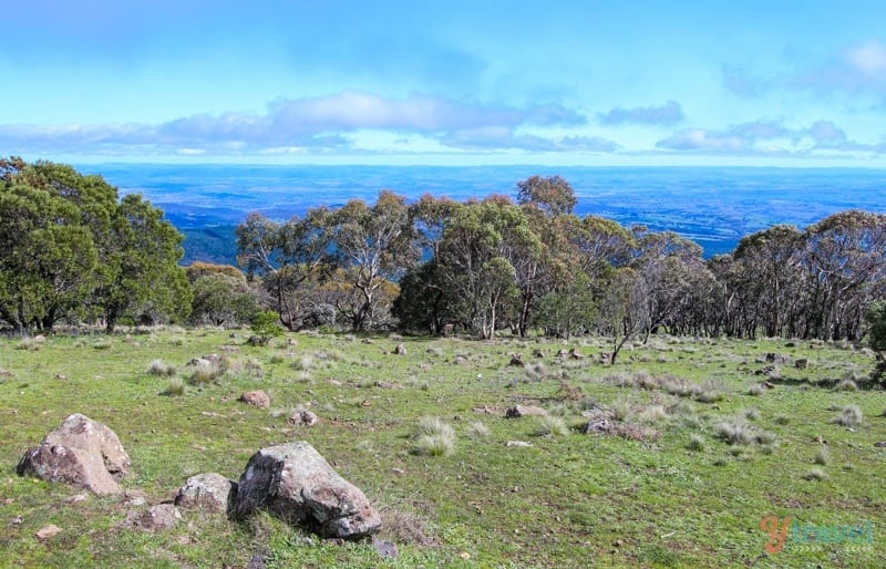 view of valley behind line of trees on Mount Canobolas 