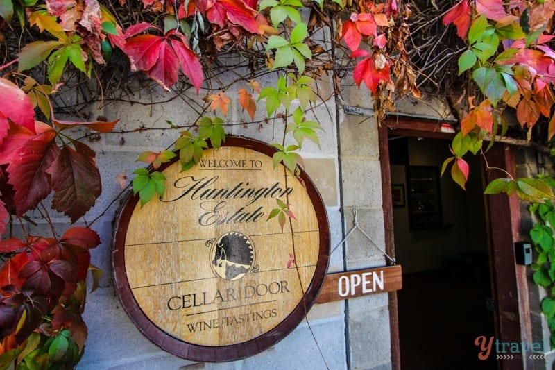cellar door of huntington estate winery