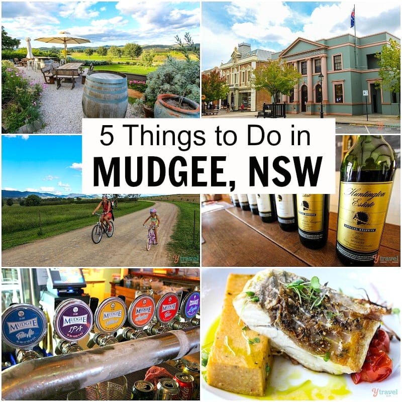 tourism in mudgee nsw