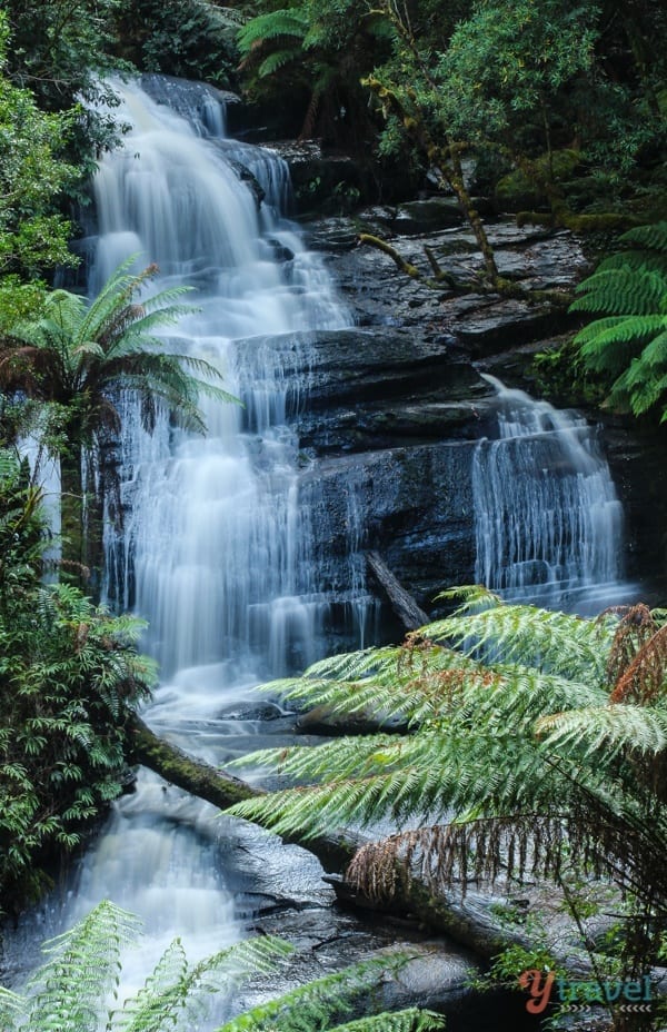 Triplet Falls cascading over rocks and framed by fern trees