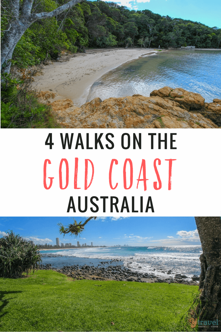 Looking to get active on the Gold Coast? These 4 Gold Coast walks will get you amongst some of the best nature experiences on the coast and hinterland