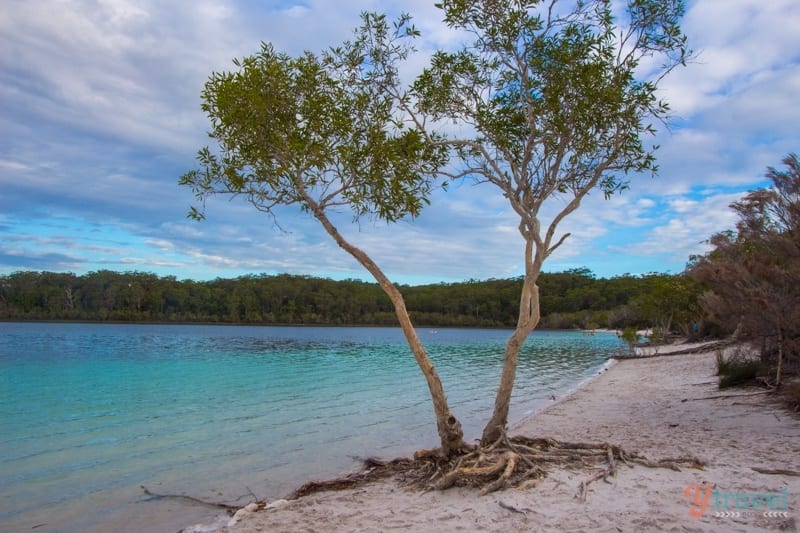 Lake Mackenzie, Fraser Island, Australia