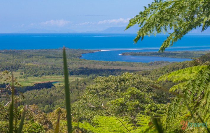 view of jungle next to daintree river and ocean 