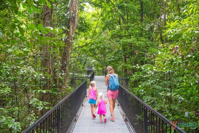 woman and two children walking on elevated boardwalk through crainforest 