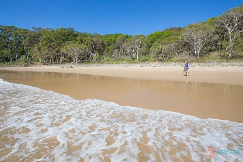 person walking on beach at Noosa Heads National Park
