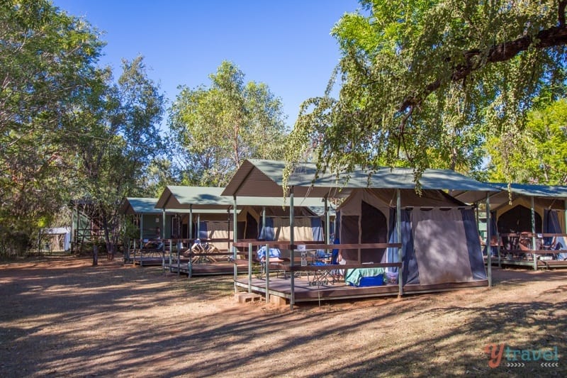 Adels Grove Campground - Queensland, Australia