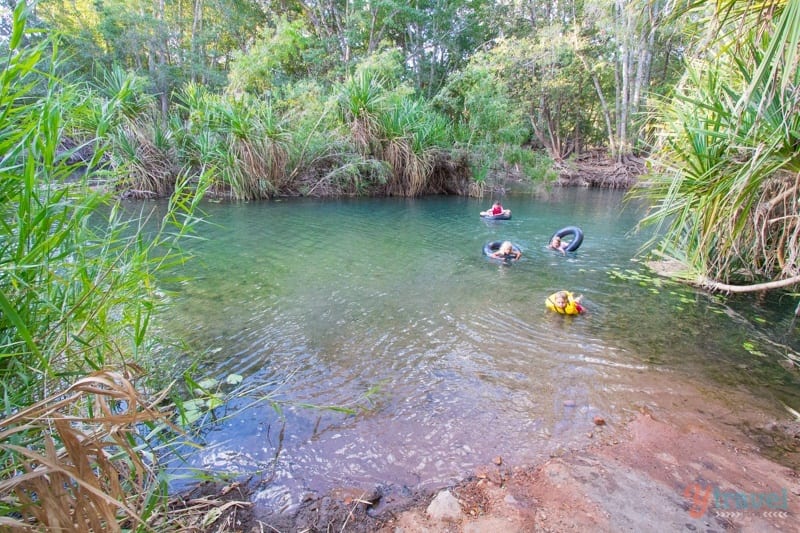 people swimming in water surrounded by trees
