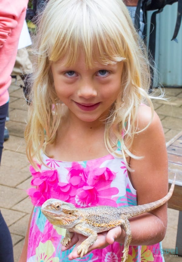 A little girl holding a lizard