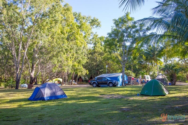 people camping on a grass field