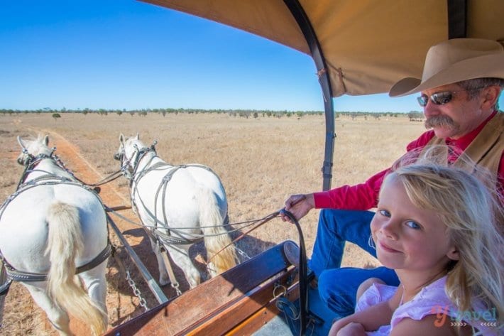 Texas Longhorn Wagon Tours in Australia