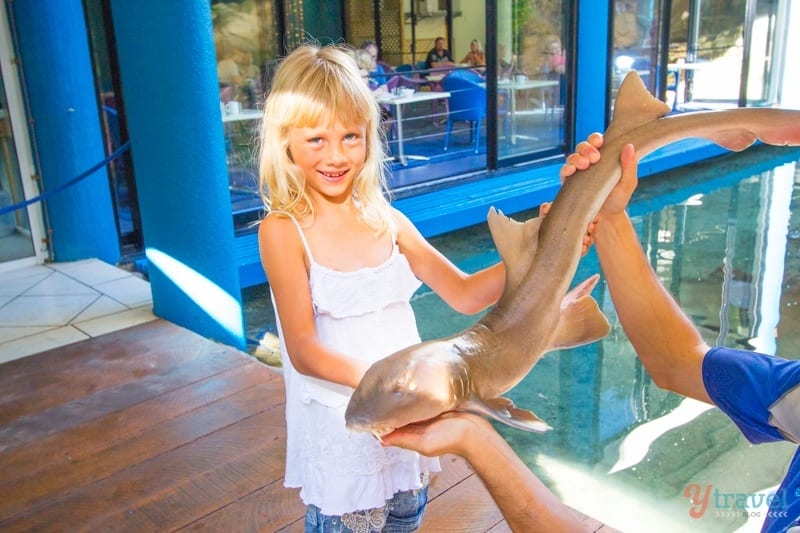 young girl holding baby shark