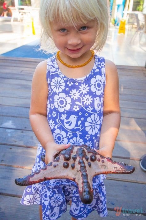 little girl holding a starfish