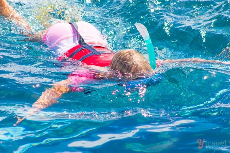 girl Snorkeling connected  apical  of the water