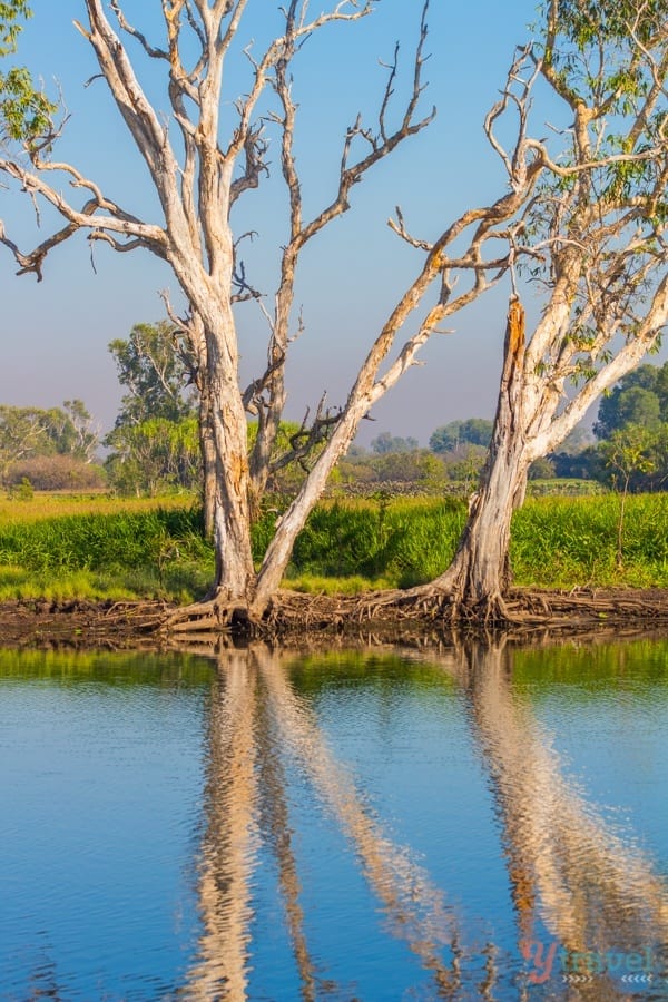 reflection of trees in water at Kakadu National Par