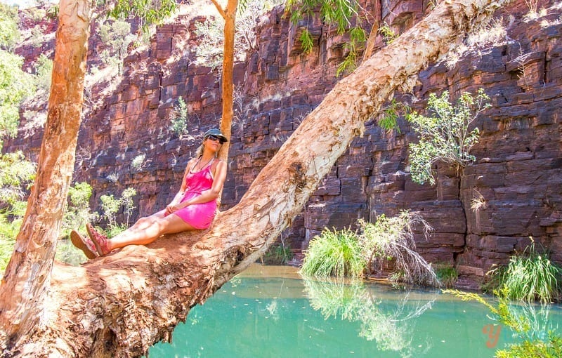 woman sitting on a tree over water