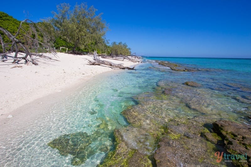 Lady Musgrave Island - Queensland, Australia